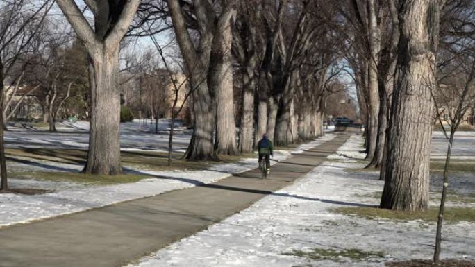 背着背包的男骑自行车者正在与老榆树一起沿着小巷骑旅行自行车