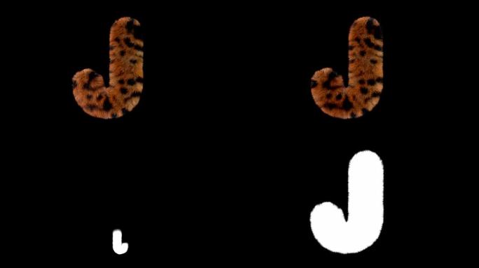 豹子毛茸茸的动画毛茸茸的字母J