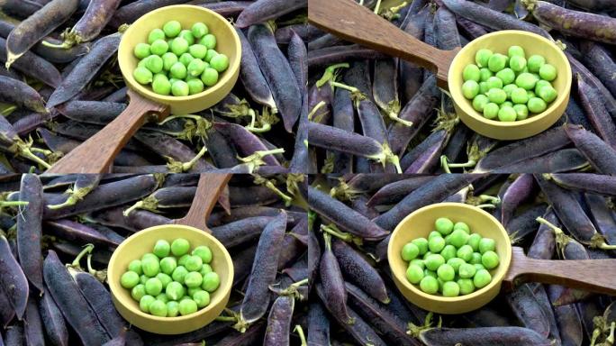 旋转新鲜紫罗兰豌豆荚和勺子背景
