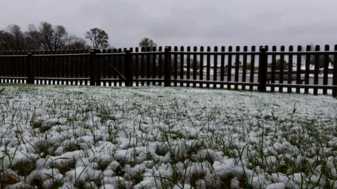 稳定地拍摄了散落着新鲜雪的草叶