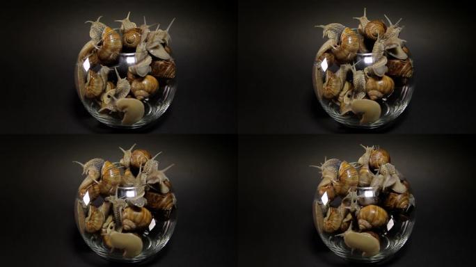 许多蜗牛从玻璃花瓶里爬出来。