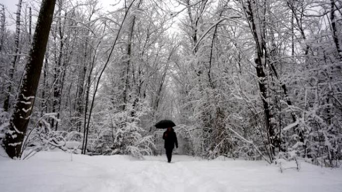 人走在森林里积雪的小路上