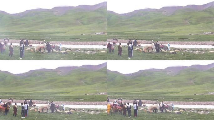 藏族隆重节日 高原活力 少年活力