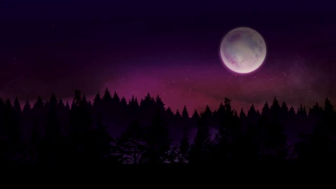 满月和朦胧之夜，4k视频