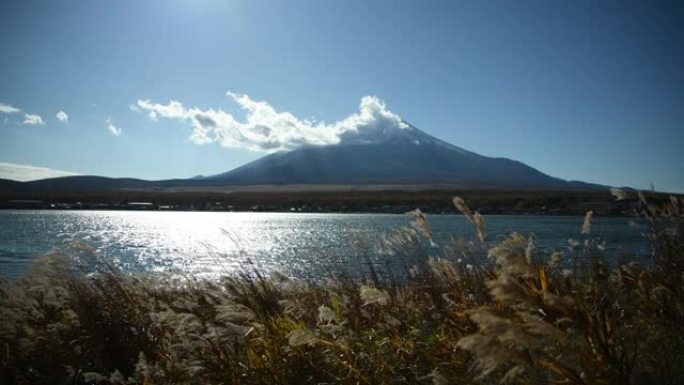 富士山湖岸的草。东瀛