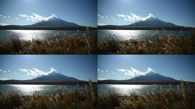 富士山湖岸的草。东瀛