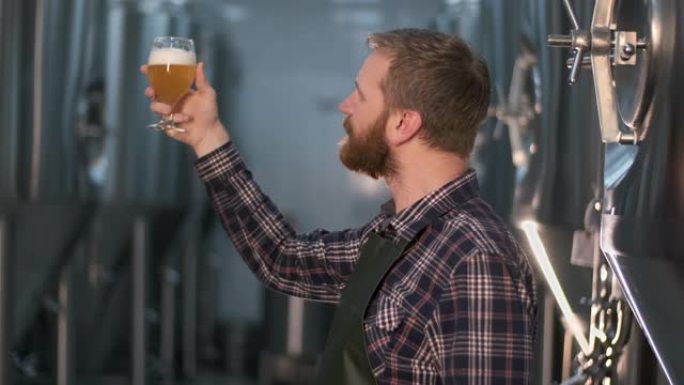 成功的商人啤酒酿造商，留着胡须，站在啤酒厂时评估从啤酒罐中酿造的新鲜啤酒