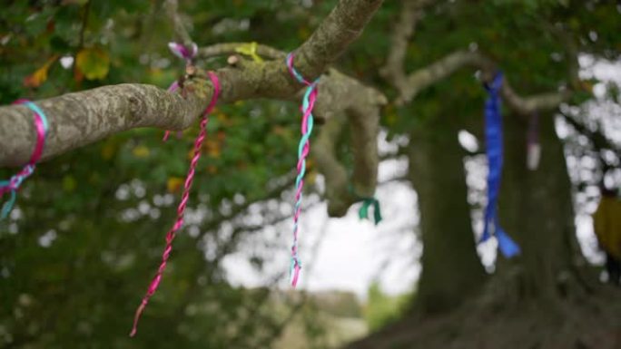 在英国威尔特郡埃夫伯里著名的海滩树木中，和平与爱的奉献在风中吹拂