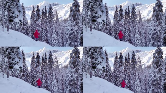 在高山冬季森林中，单身女子雪鞋行走