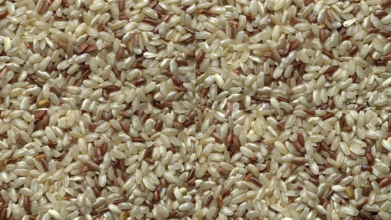 糙米。旋转中的水稻全谷物