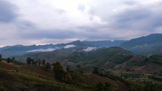 延时拍摄雨后雾蒙蒙的天然林山景