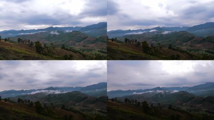 延时拍摄雨后雾蒙蒙的天然林山景