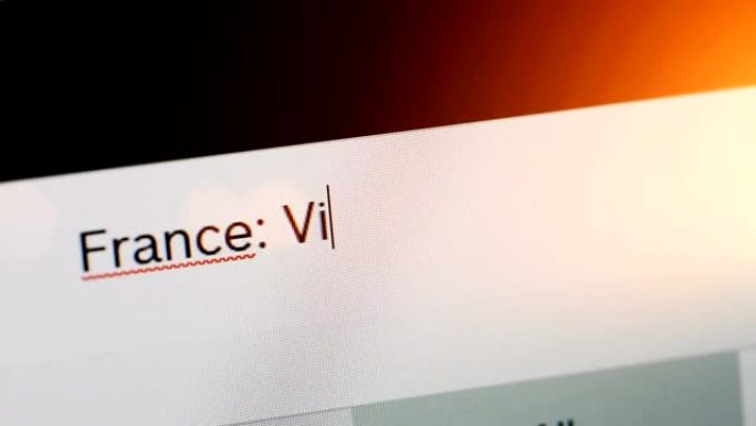 在网页浏览器的地址或搜索栏上输入法国病毒警报