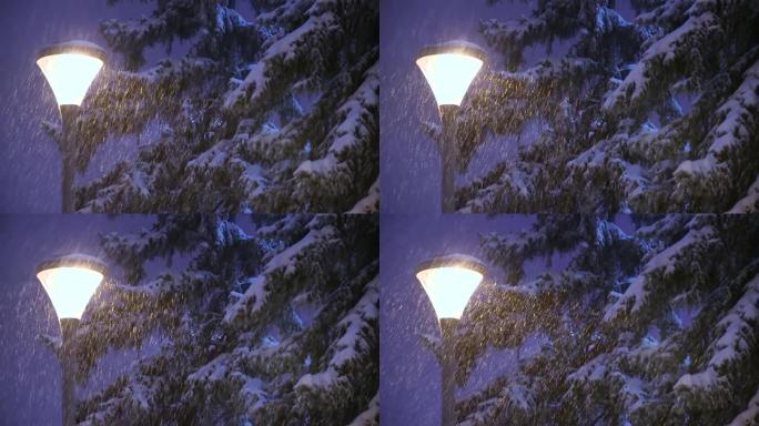 冬天在城市公园的白雪皑皑的云杉树和路灯上飘雪