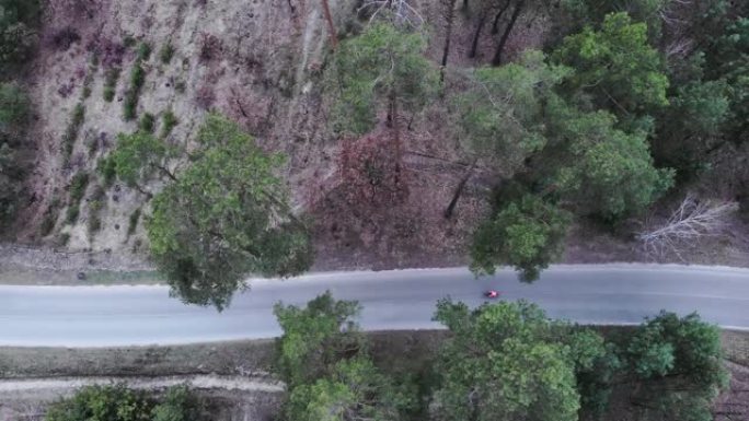 专业自行车手独自在森林空旷的道路上骑行的俯视图。骑公路自行车的人在被松树包围的空车路上踩踏板。铁人三