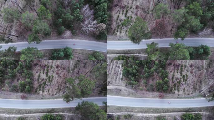 专业自行车手独自在森林空旷的道路上骑行的俯视图。骑公路自行车的人在被松树包围的空车路上踩踏板。铁人三