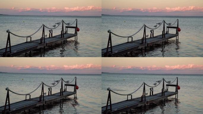 日落时，海鸥坐在岸边码头的栏杆上。背景中带有彩色日落天空的漩涡水