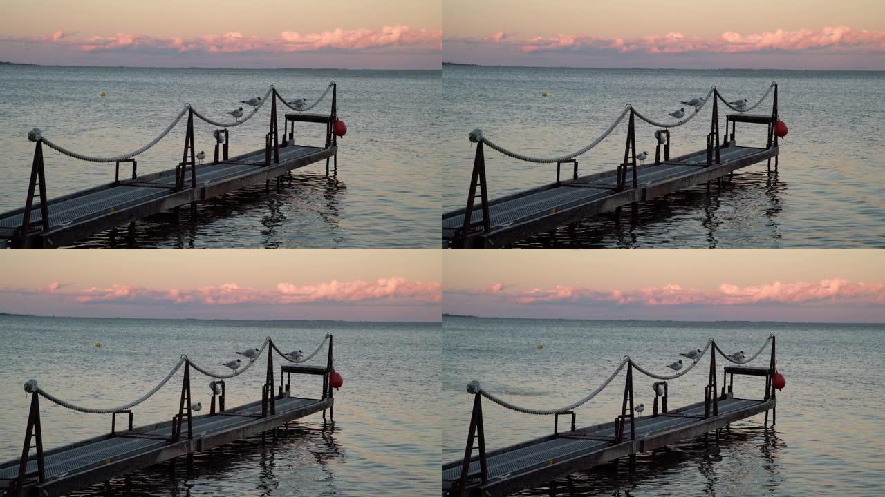 日落时，海鸥坐在岸边码头的栏杆上。背景中带有彩色日落天空的漩涡水
