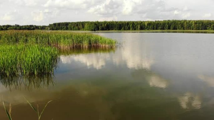波兰马苏里亚湖岸。鸟瞰图。