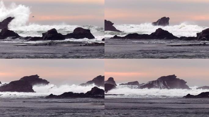 太平洋巨浪巨浪穿梭浪涛冲击礁石