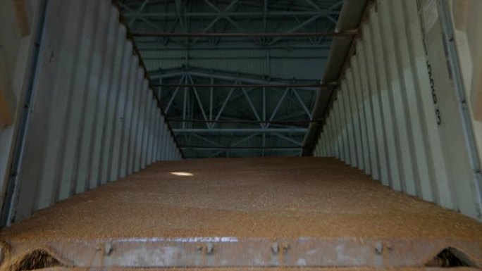 从卡车到仓库的小麦卸货慢动作框架，在仓库的小麦装货慢动作框架