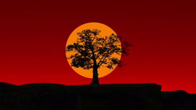 一棵孤独的树映衬着红色的天空日落