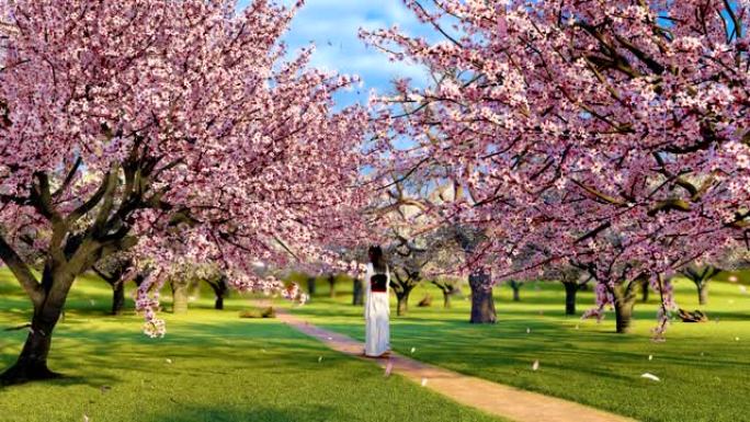 盛开的樱花树和日本和服女孩在慢动作3D