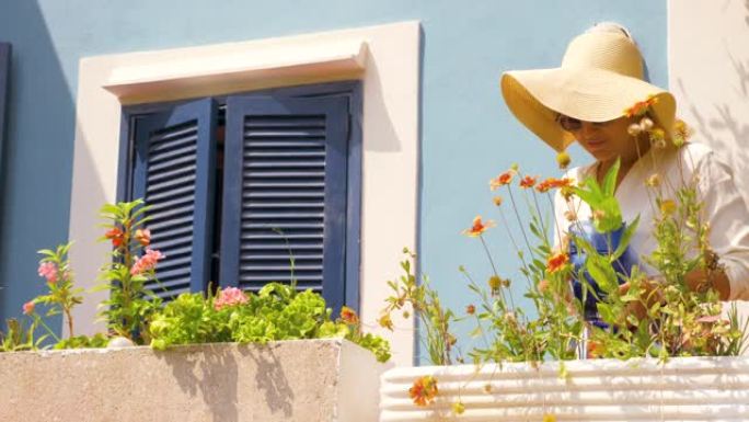 快乐的年轻女子在蓝色房子阳台上浇灌植物。时尚白衬衫和大帽子。意大利蓬扎岛。