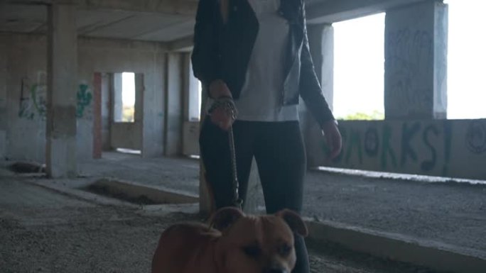 在框架中，美国斯塔福德郡梗和他的情妇在一栋废弃的未完成建筑中。女孩用皮带牵着一只狗。