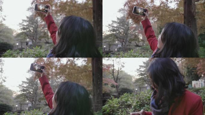 穿着红色衬衫的亚洲妇女在东京市的公园用智能手机拍摄秋叶照片。