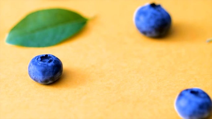 粉红色背景上的蓝莓和绿叶。电影蓝莓4k视频。成熟多汁的新鲜采摘越橘特写。顶视图