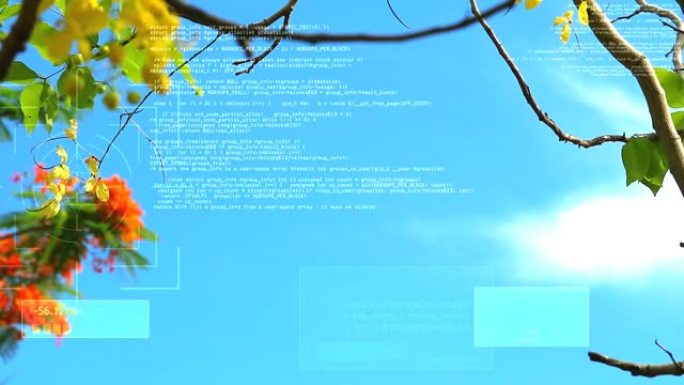 决明瘘管花盛开蓝色枝叶框蓝天及数字分析AI背景