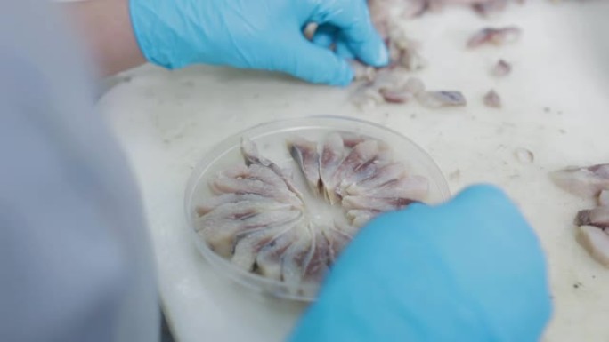 女工手持防护手套的特写镜头将鱼肉倒入塑料罐中。鱼可以在工厂生产，将鱼片分拣在塑料容器中