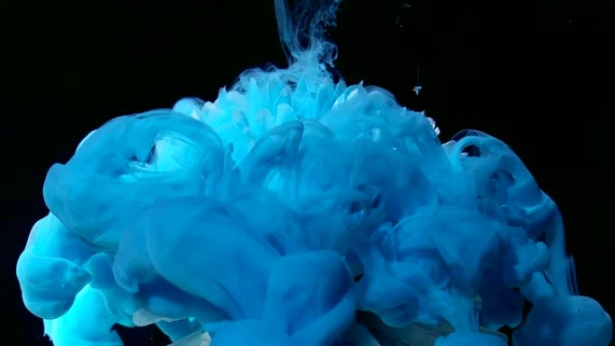 美丽的白菊花在梦幻般的背景上。黑色背景上的蓝色水彩墨水。