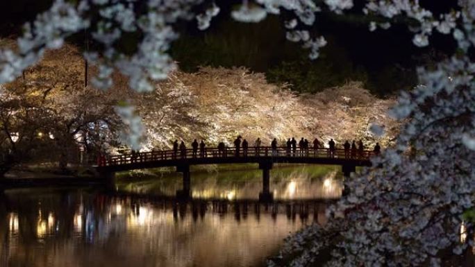 弘前公园樱花祭在春季的夜晚点亮