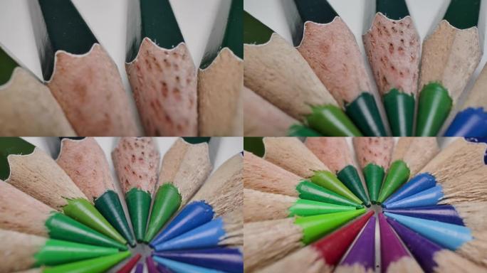 多莉彩色铅笔在圆形背景下的微距拍摄