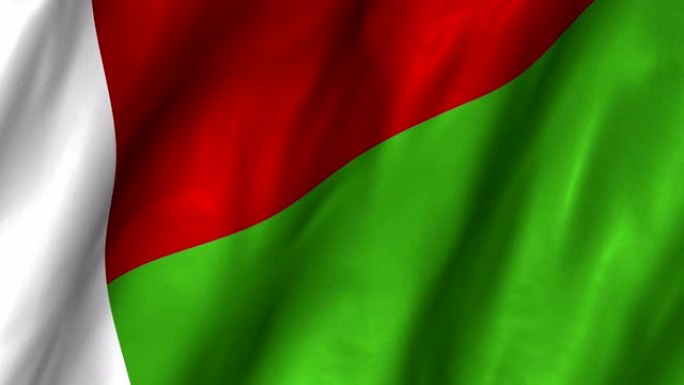 马达加斯加摇旗4K
