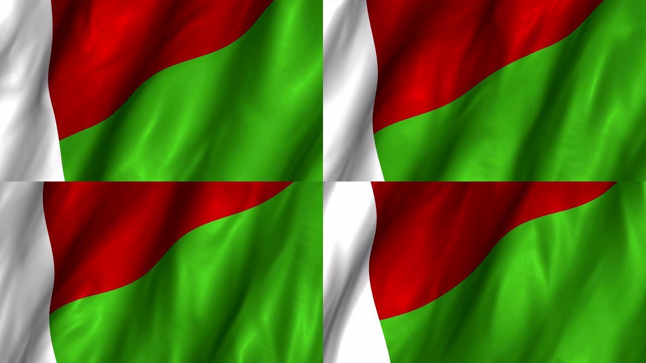 马达加斯加摇旗4K