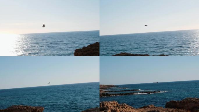 小鸟在海上飞翔。鸟在海上飞行。鸟在水上飞舞