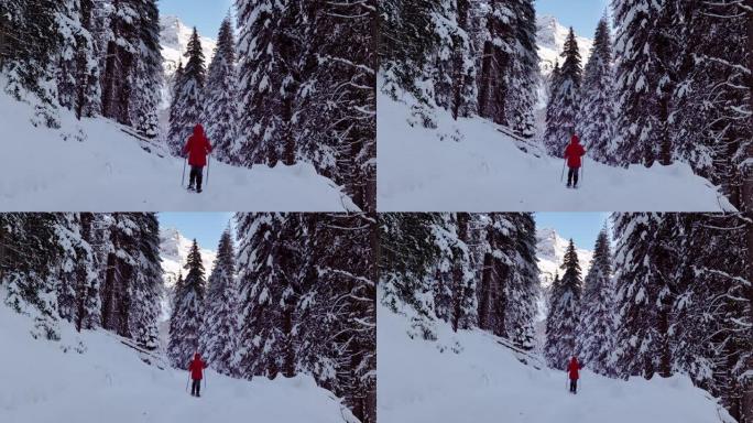 在高山冬季森林中，单身女子雪鞋行走