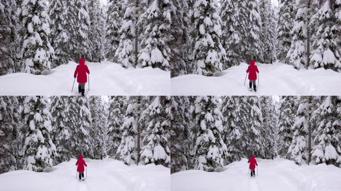 在高山冬季森林中，单身女子雪鞋行走