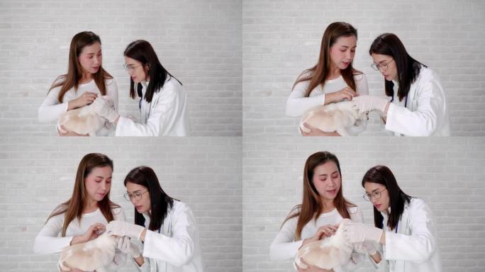 20-30岁的亚洲女医生正在检查主人携带的狗的粉末。