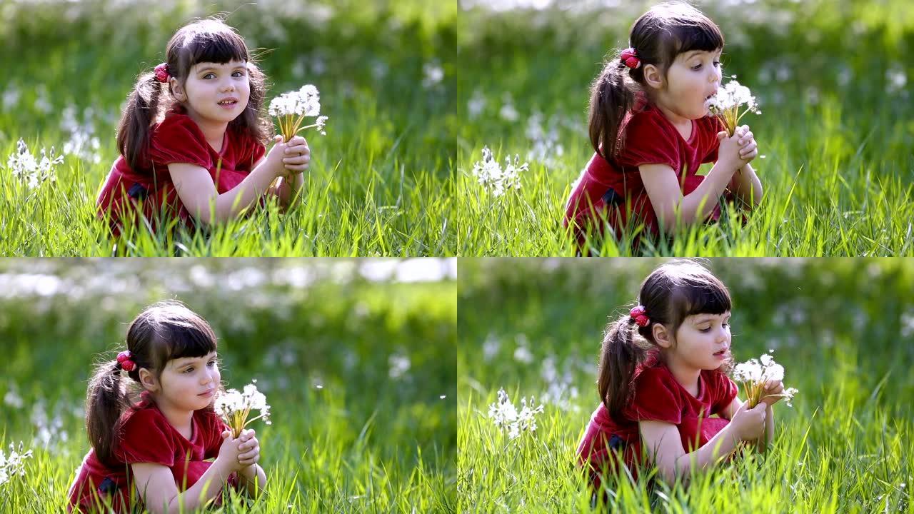 在春天阳光明媚的日子里，穿着红色连衣裙的小女孩4岁的亲密计划坐在草地上，带着一束蒲公英，在背景上绽放