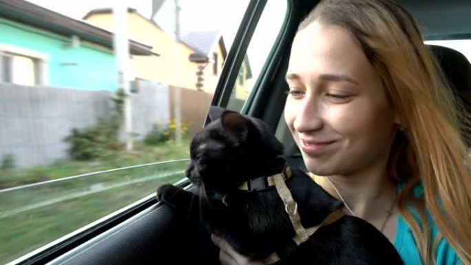 日落时分，一只好奇的黑猫和一个年轻的女孩一起看着正在行驶的汽车的窗外。从车内看。概念。特写。4K。