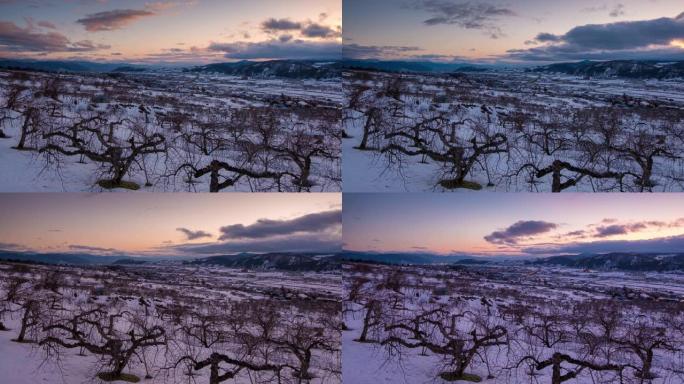 日本长野，日落时前景为苹果树，冬季中野市的延时鸟瞰图