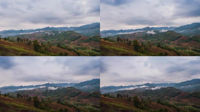 延时拍摄雨后雾蒙蒙的天然林山景