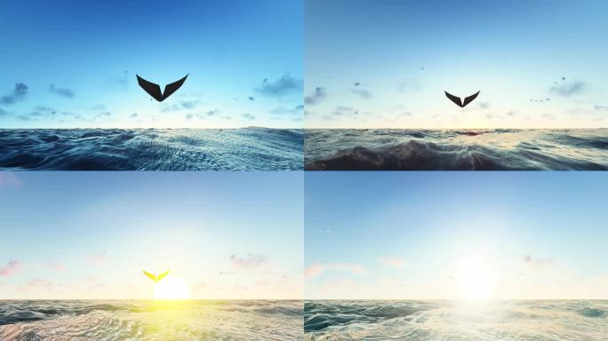纸飞机自由翱翔于海平面飞向远方