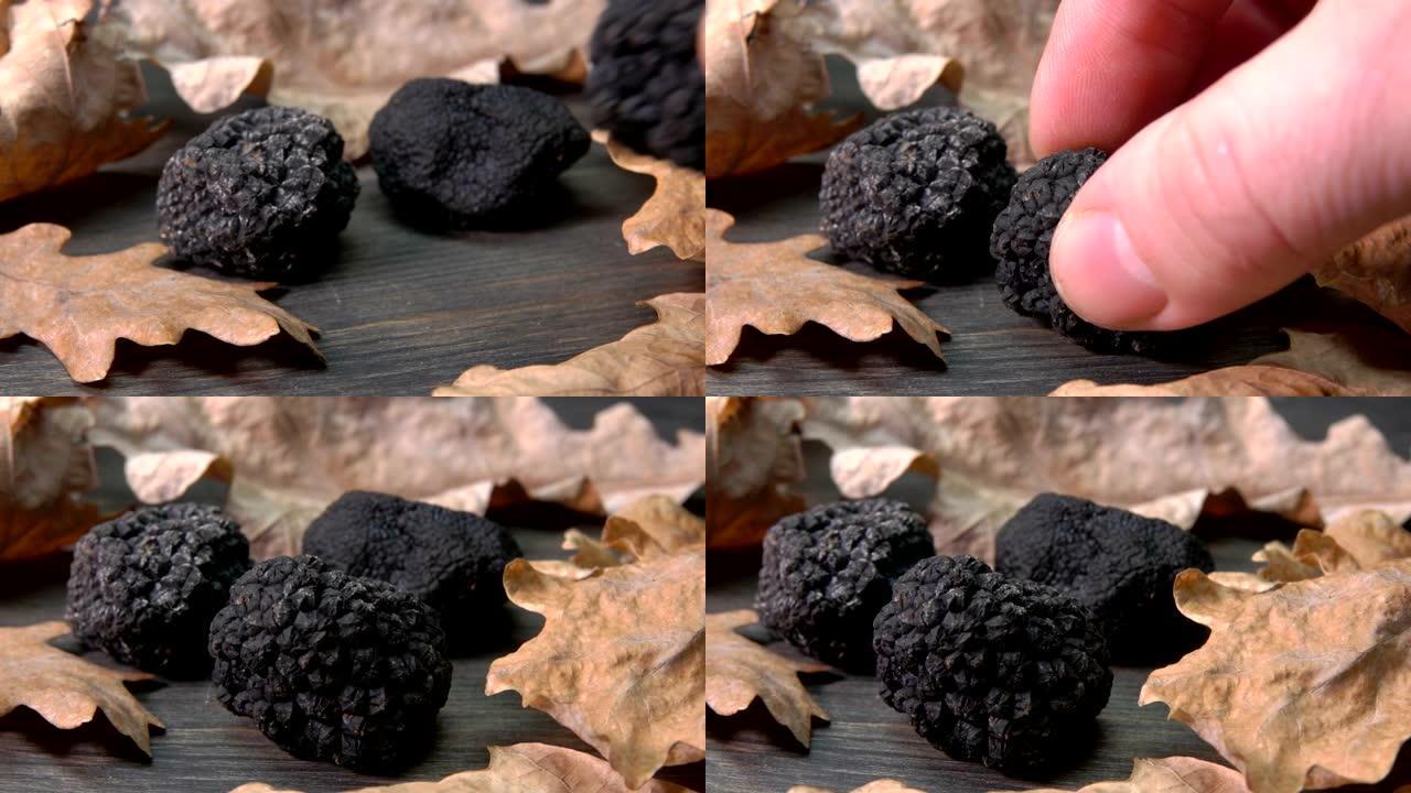手在黑色木质表面放置豪华稀有黑松露蘑菇