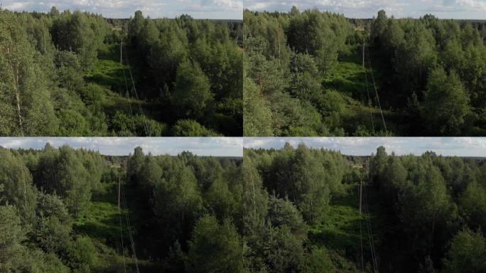 绿色农村地区森林清除空中射击的电力线杆