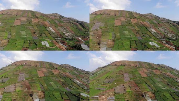 Dieng高原肥沃农田的4k航拍画面